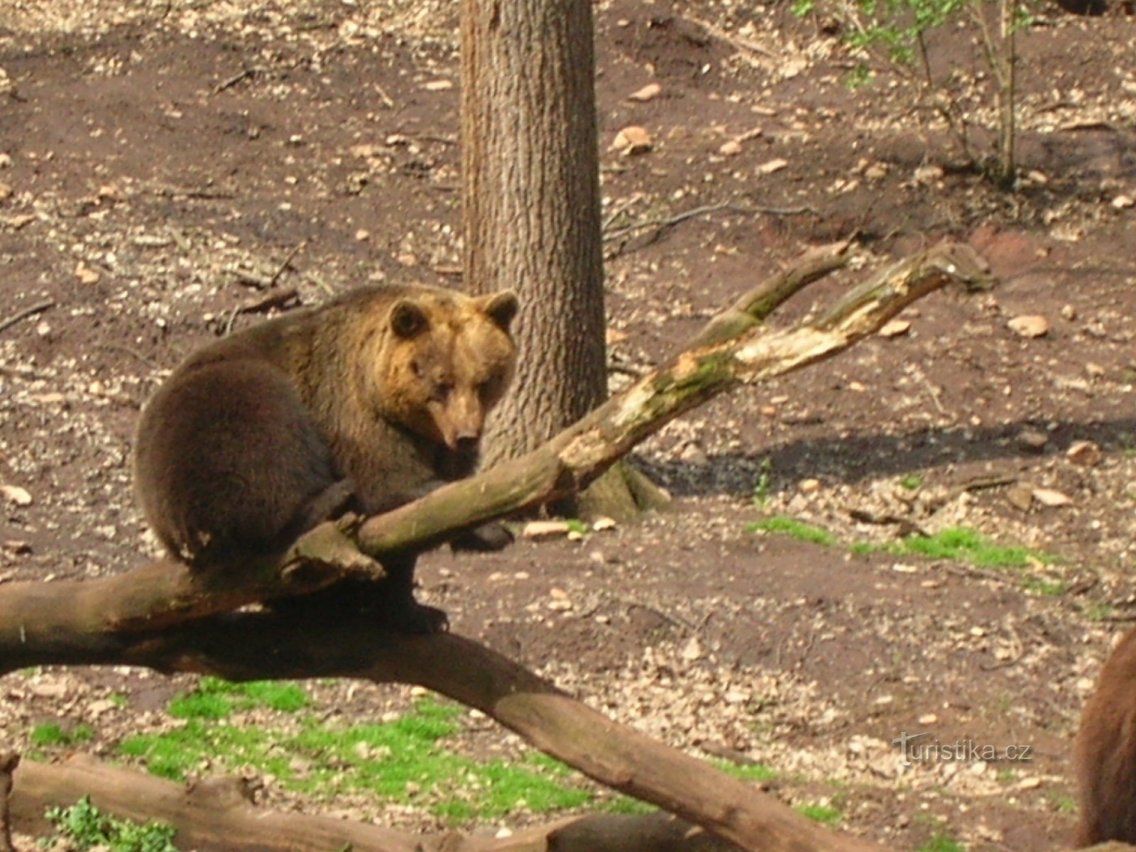 Grădina Zoologică Chomutov