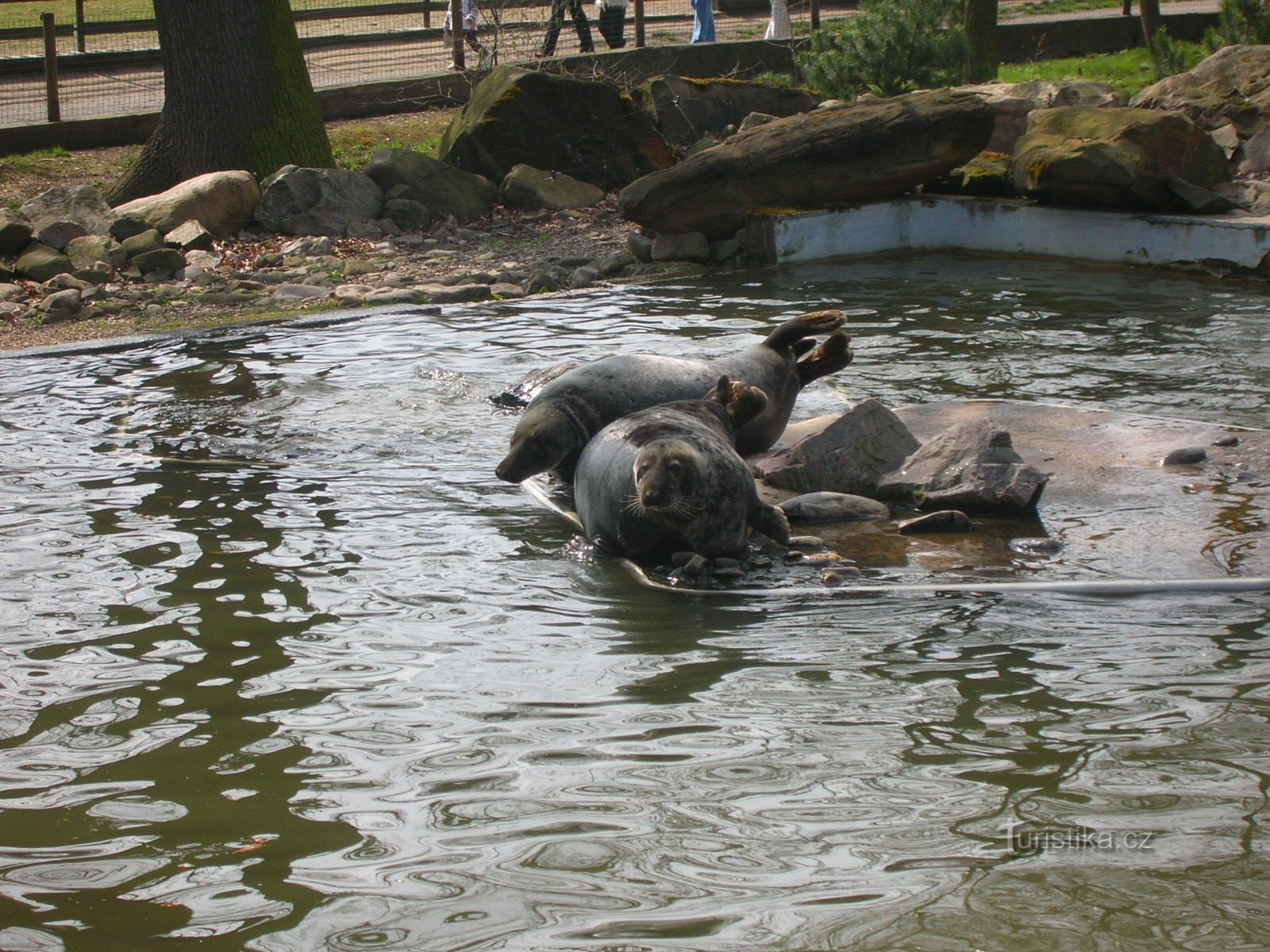 Grădina Zoologică Chomutov