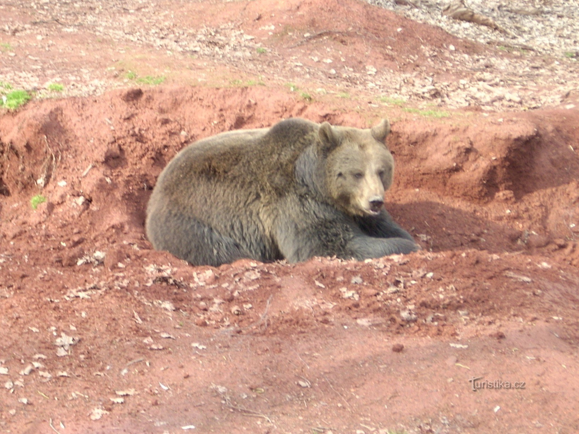 Grădina Zoologică Chomutov