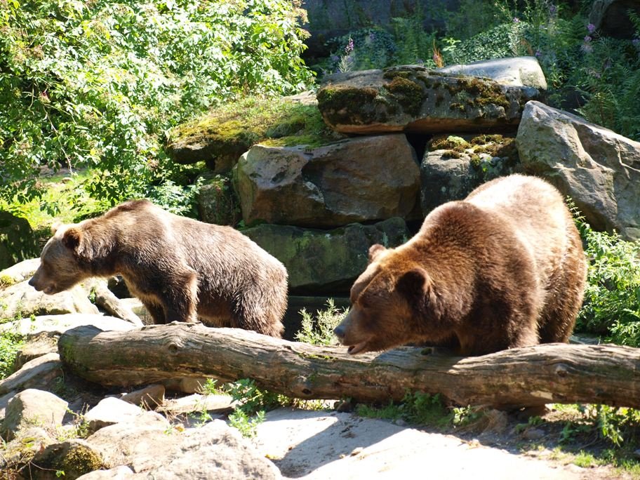 Dierentuin Děčín