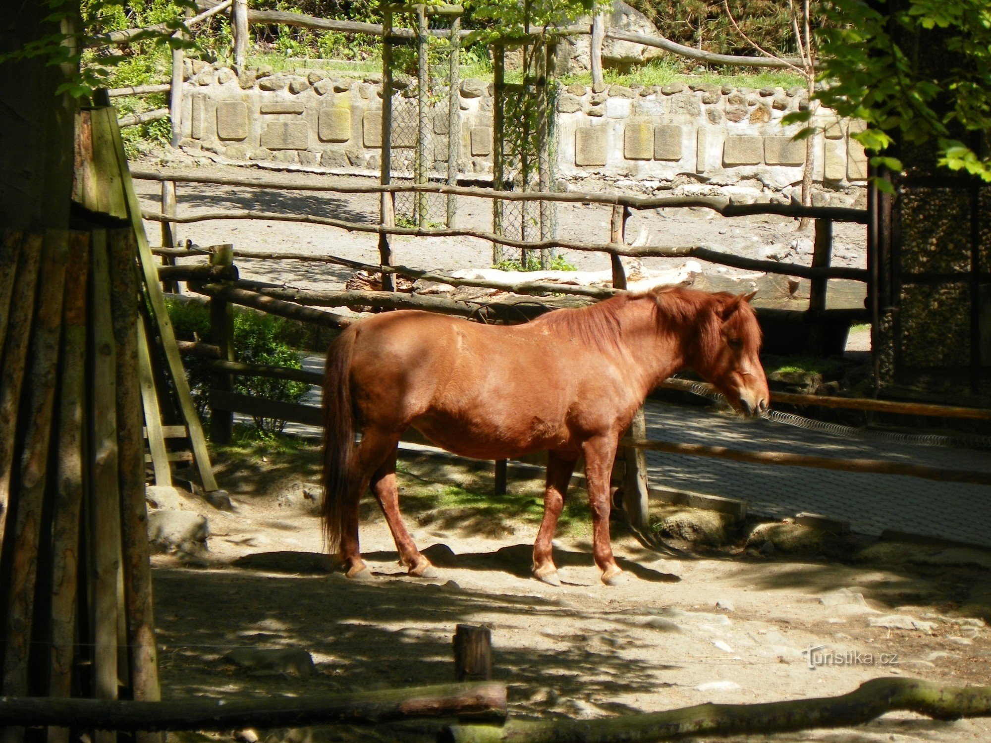 Dierentuin van Děčín