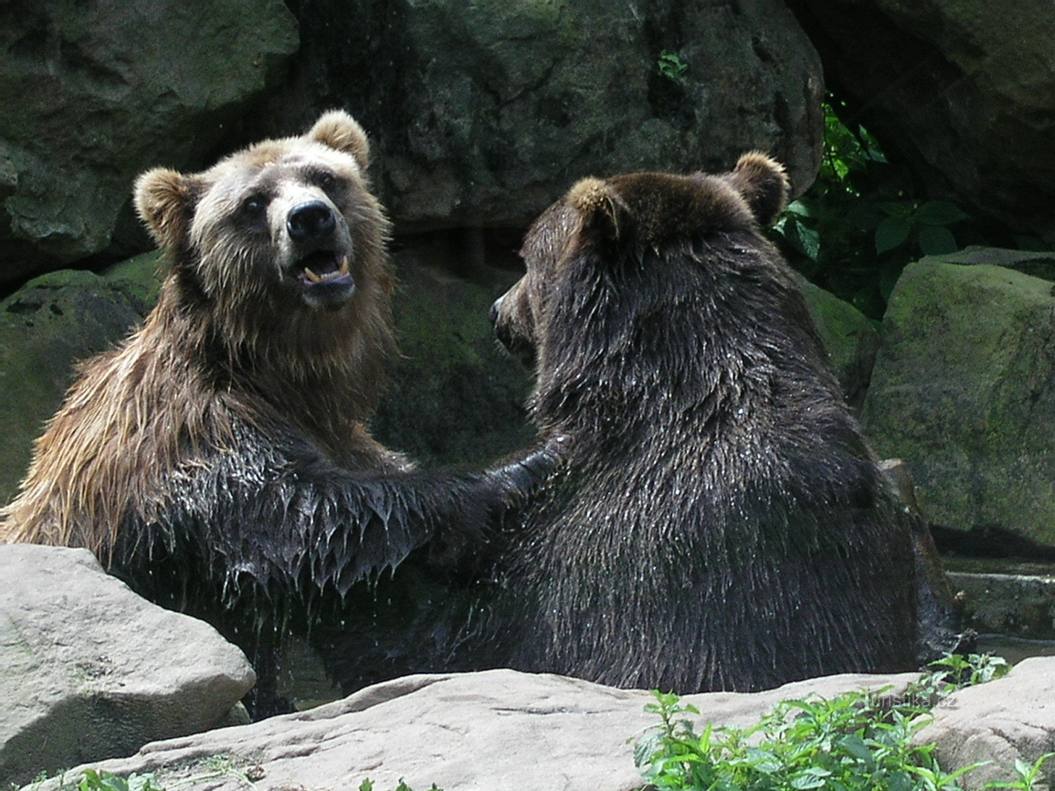 Zoológico Děčín