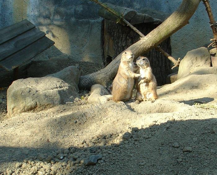 ZOO Děčín