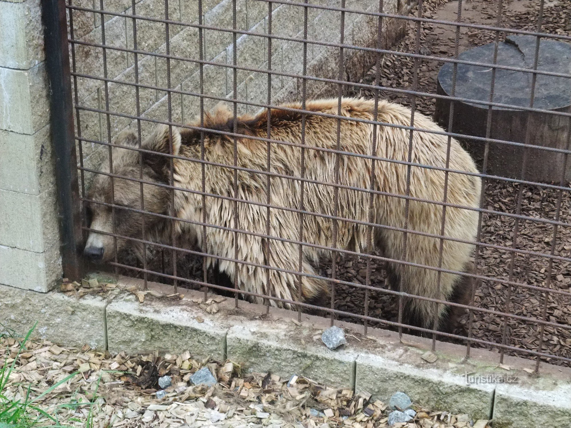 ドヴォレツ動物園