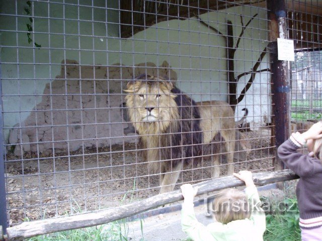 ZOO Dvorec gần Borovan