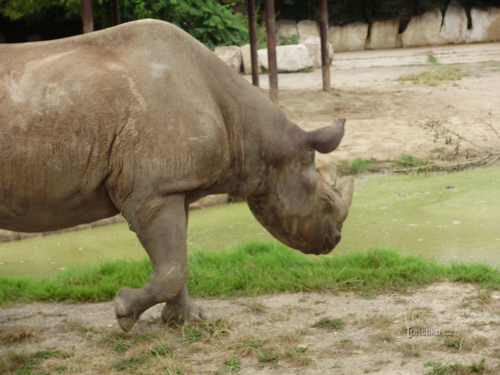 Zoológico Dvur Králová nad Labem