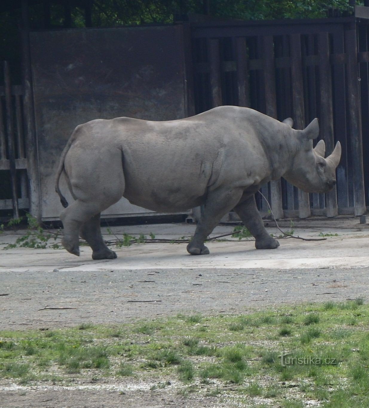 ZOO Dvur Králové eller över Afrika