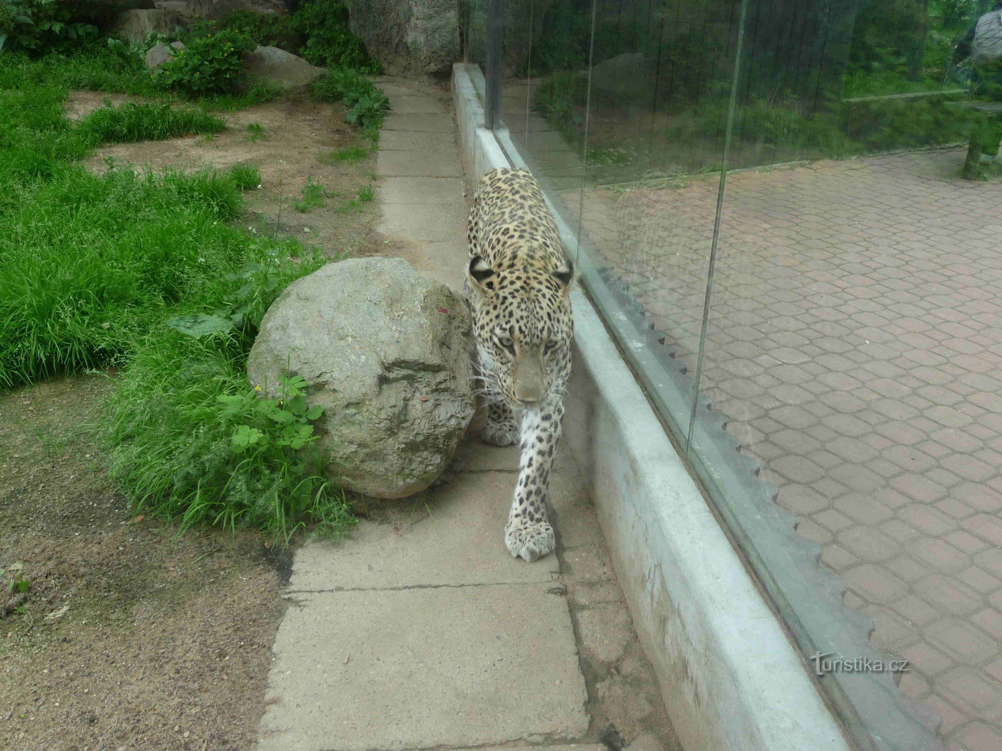 ZOO Двур Кралове-над-Лабем