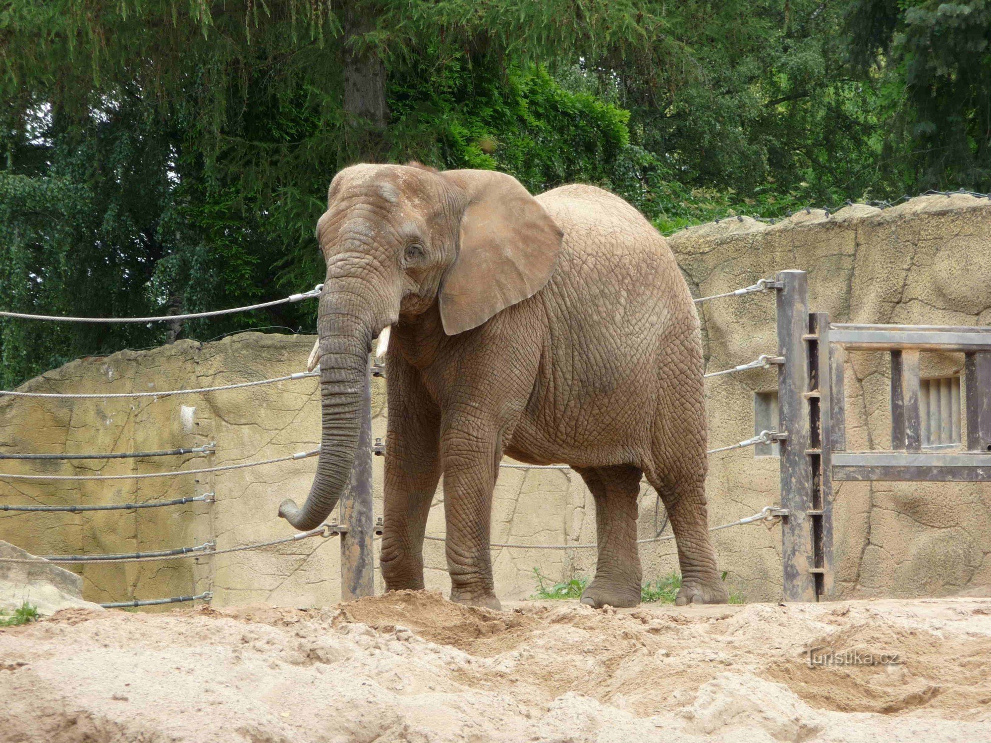 ZOO Dvur Kralove nad Labem