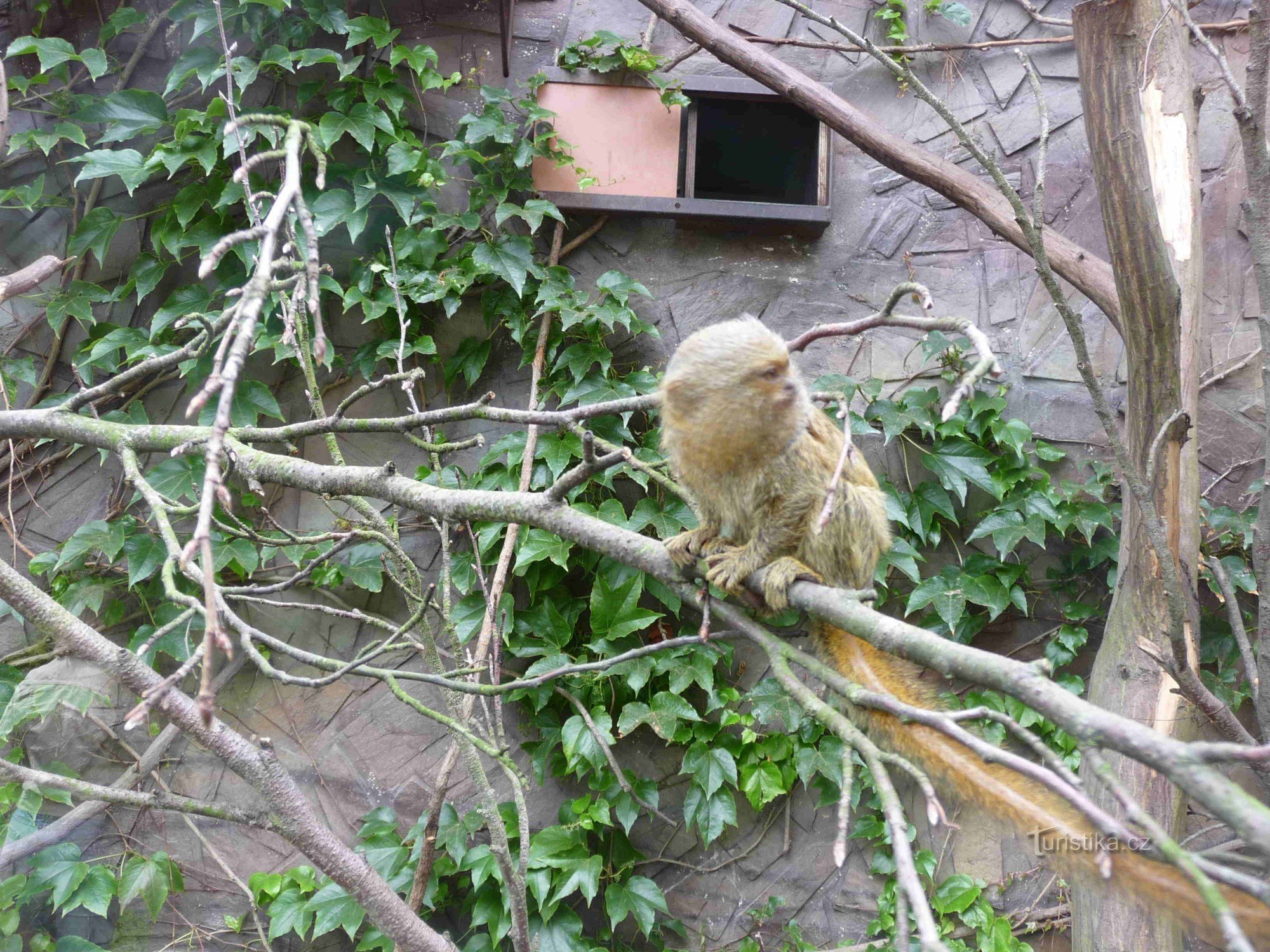 ZOO Двур Кралове-над-Лабем