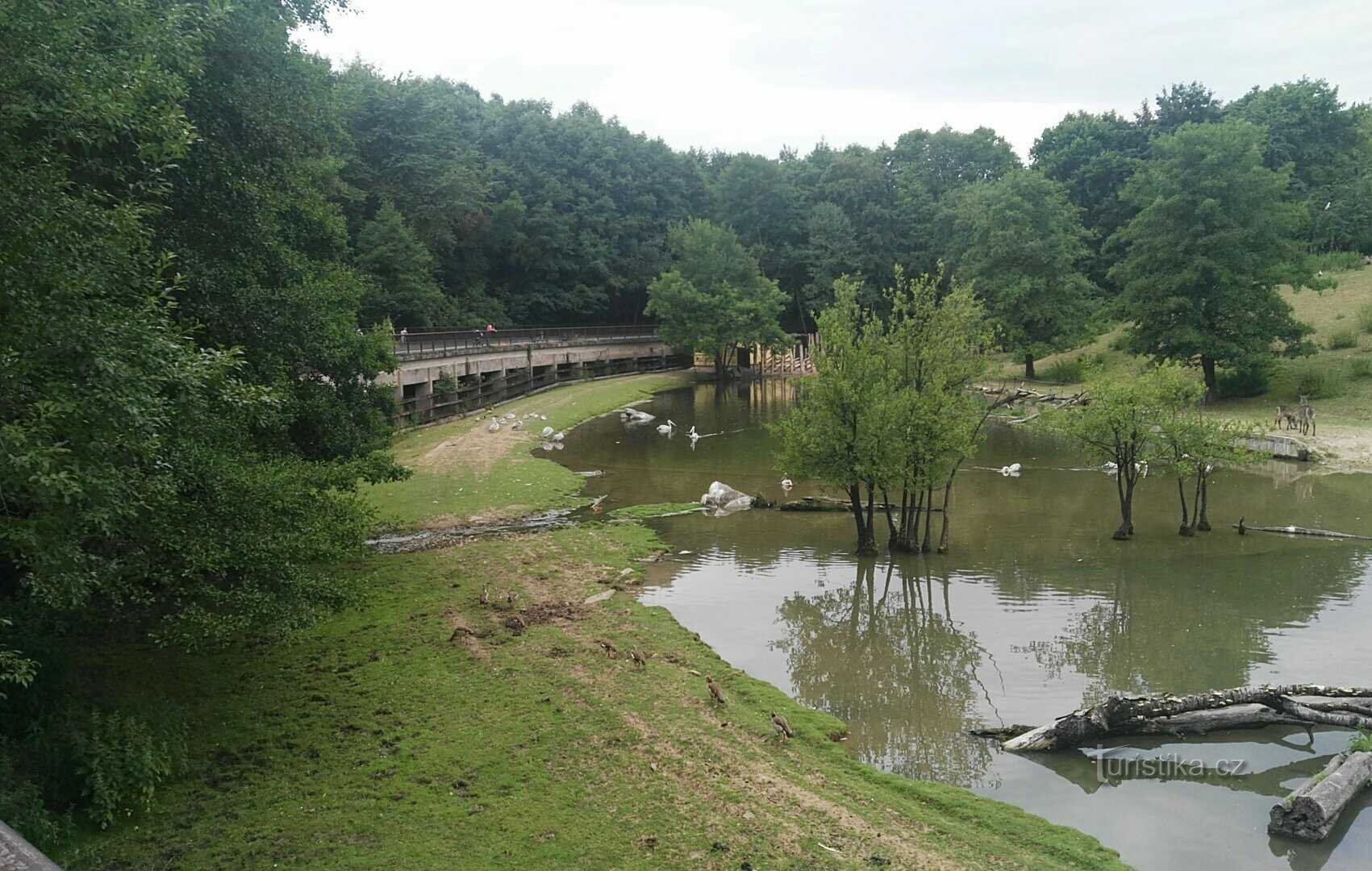 ドゥヴル・クラロヴェ・ナド・ラベム動物園