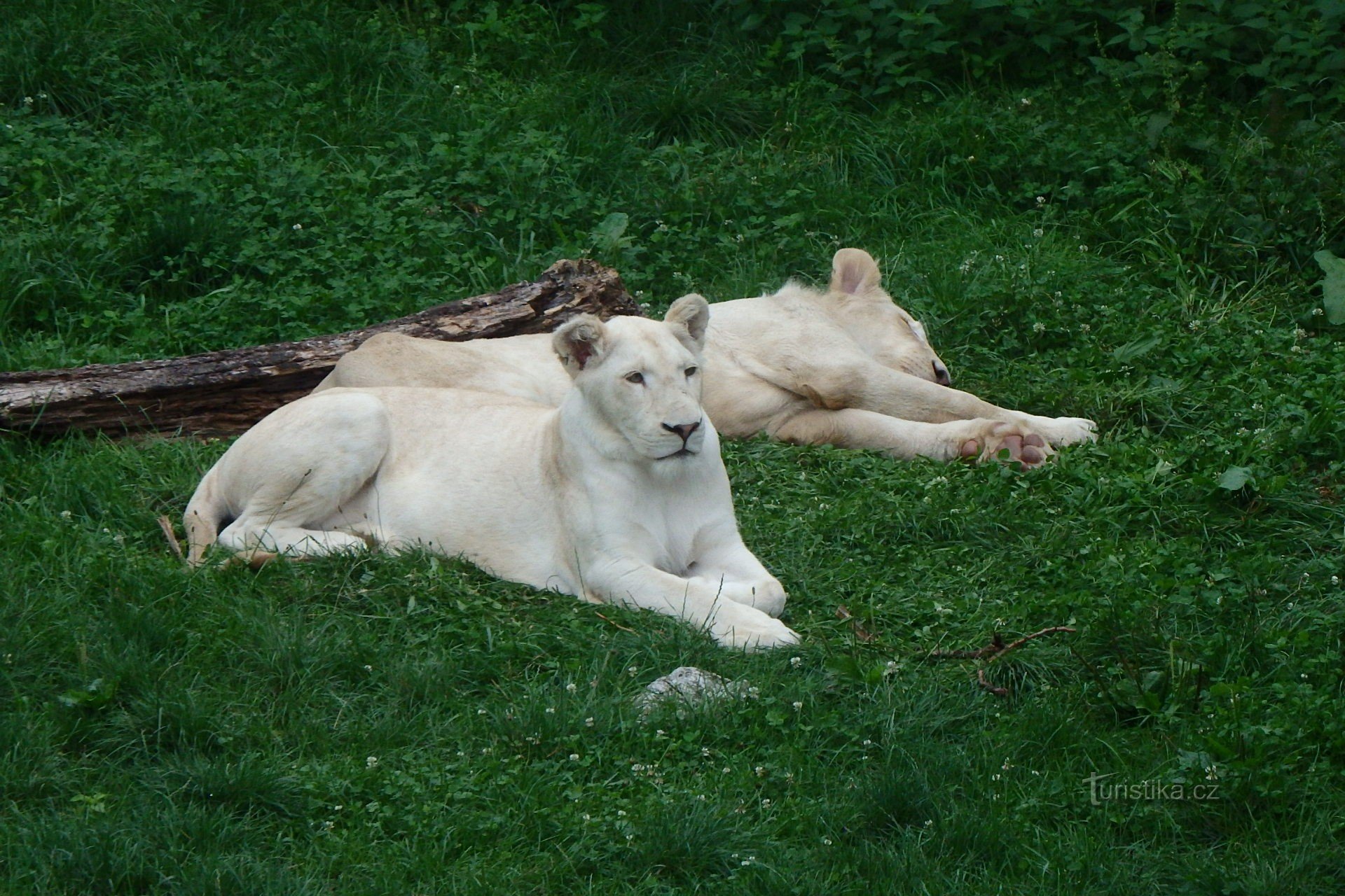 Zoo Hodonín