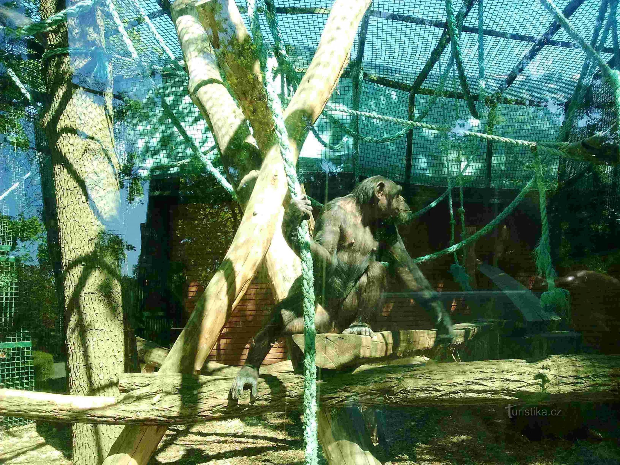 dierentuin van Hodonín