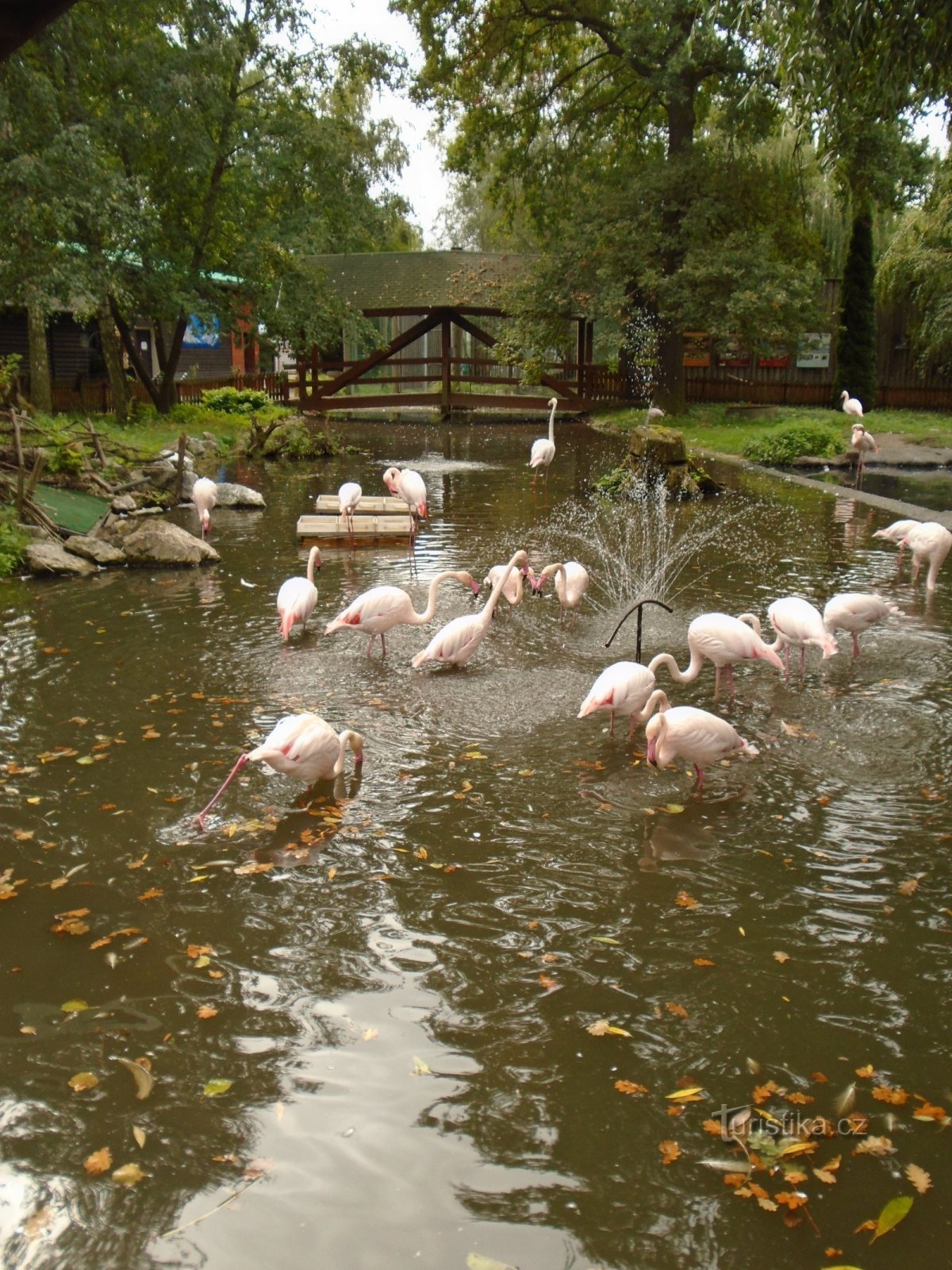 Grădina Zoologică HODONIN