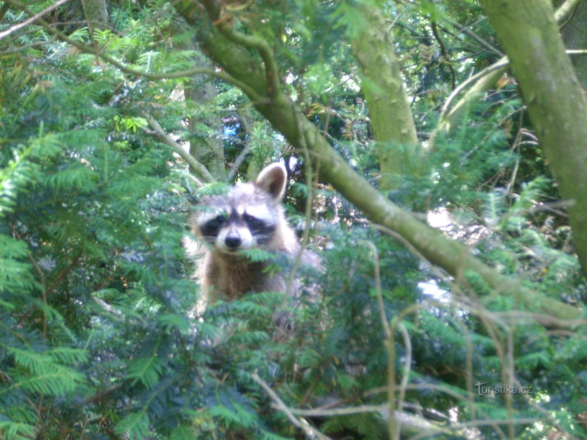 Zoo Jihlava