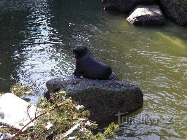 レシュナー動物園