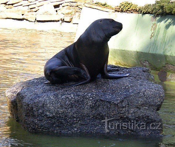 Grădina Zoologică Lešná