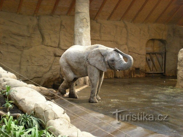 Zoo de Lešna