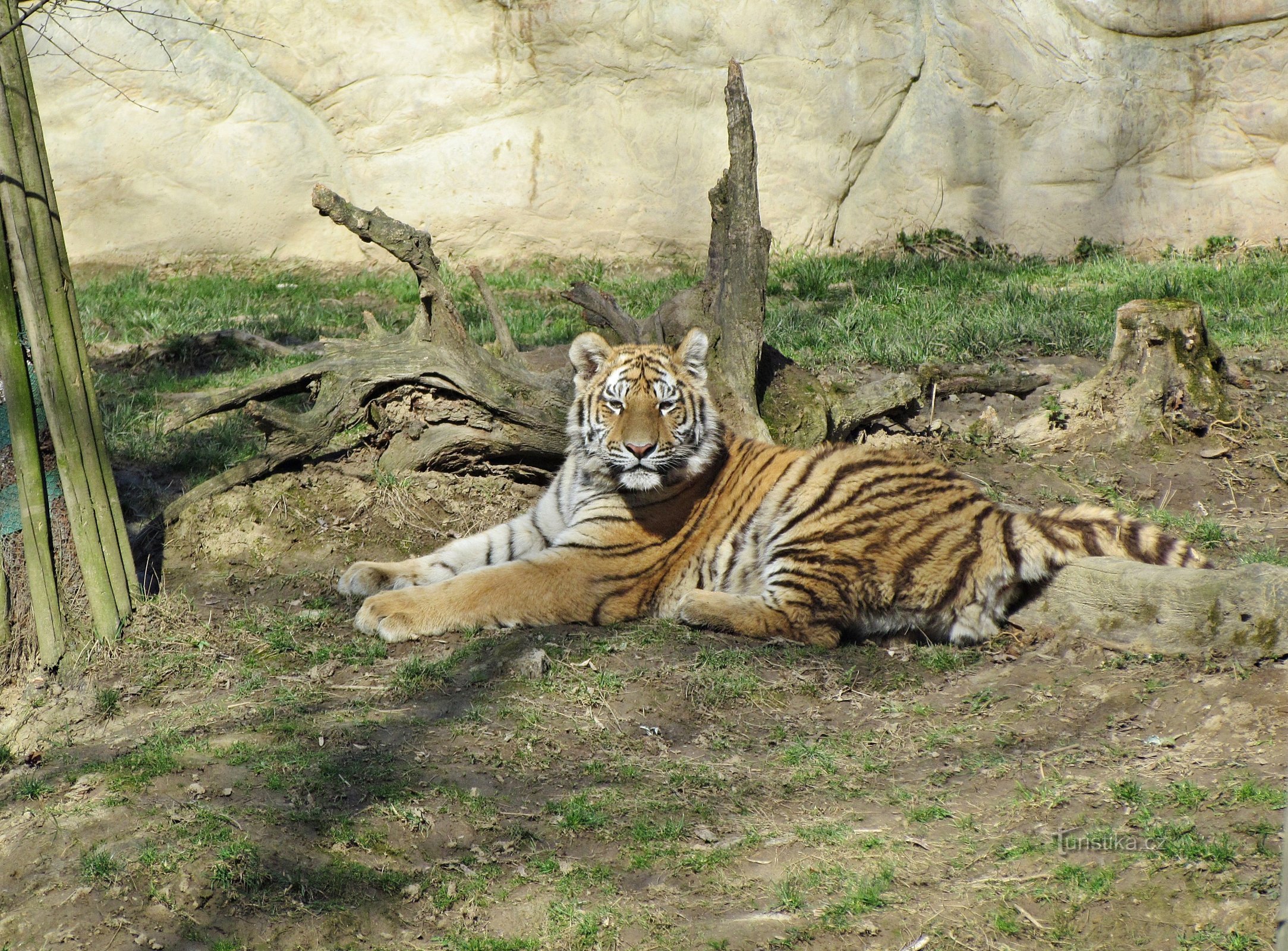 ZOO Lešná næsten uden dyr og uden mennesker