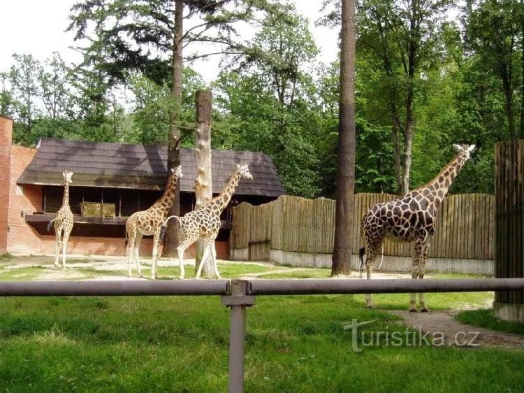 リベレツ動物園