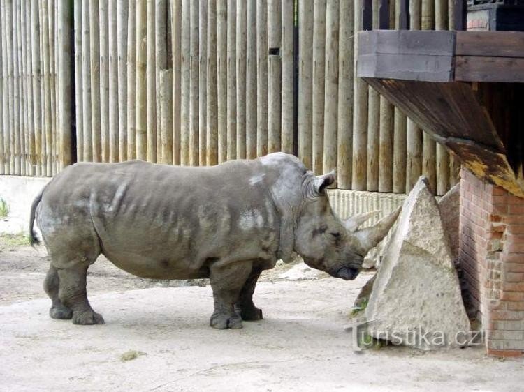 ZOO de Liberec