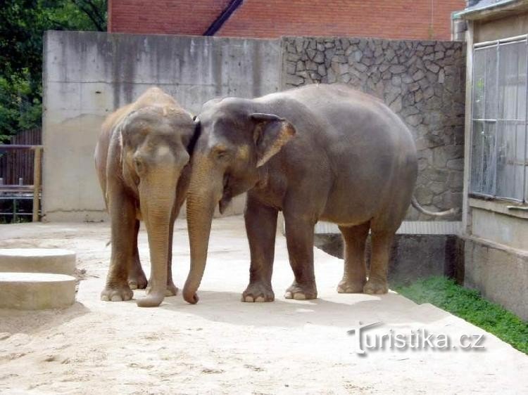 ZOO de Liberec