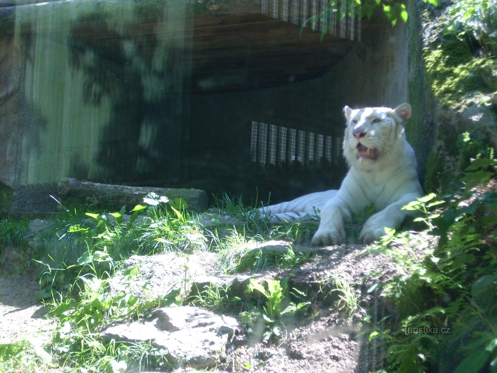 Zoo w Libercu