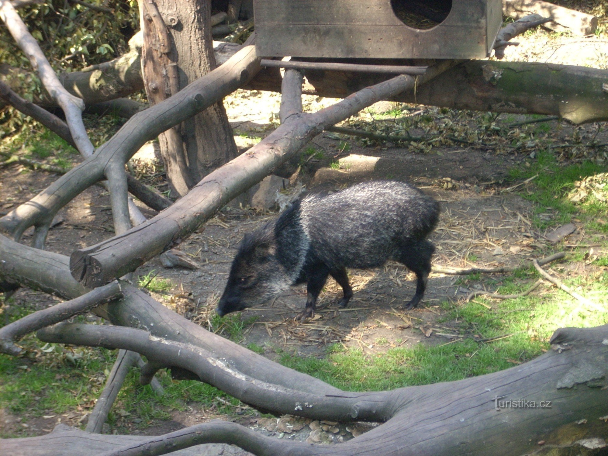 Liberec Zoo