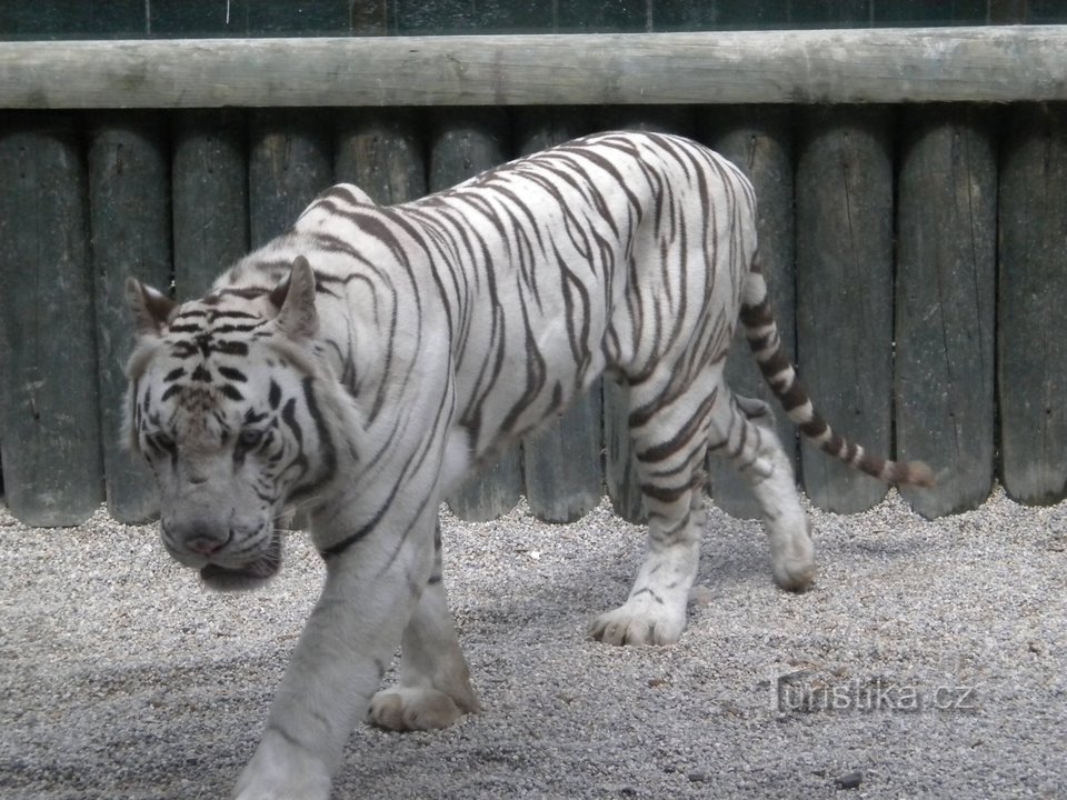 Zoo Liberec