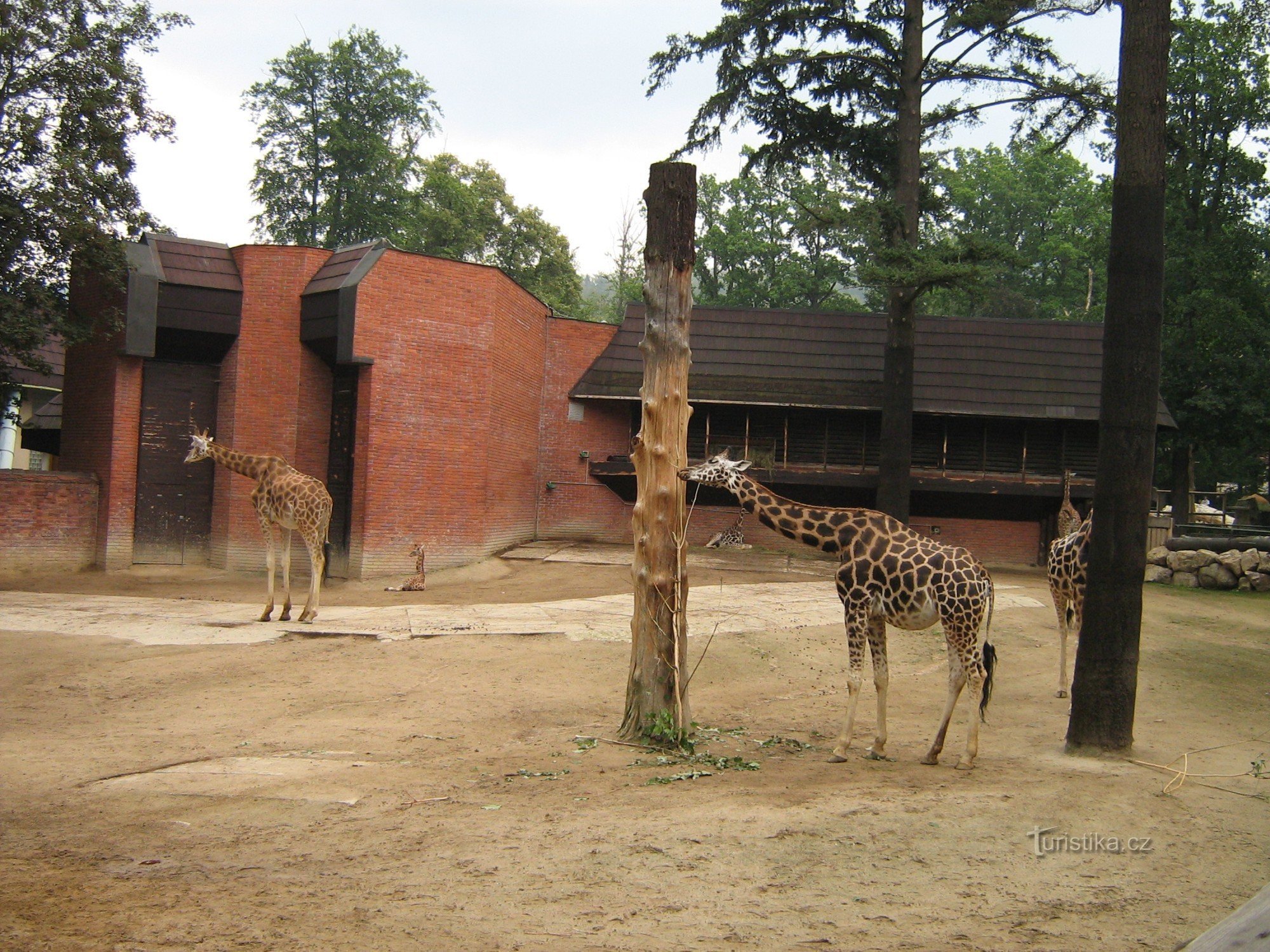 Zoo w Libercu
