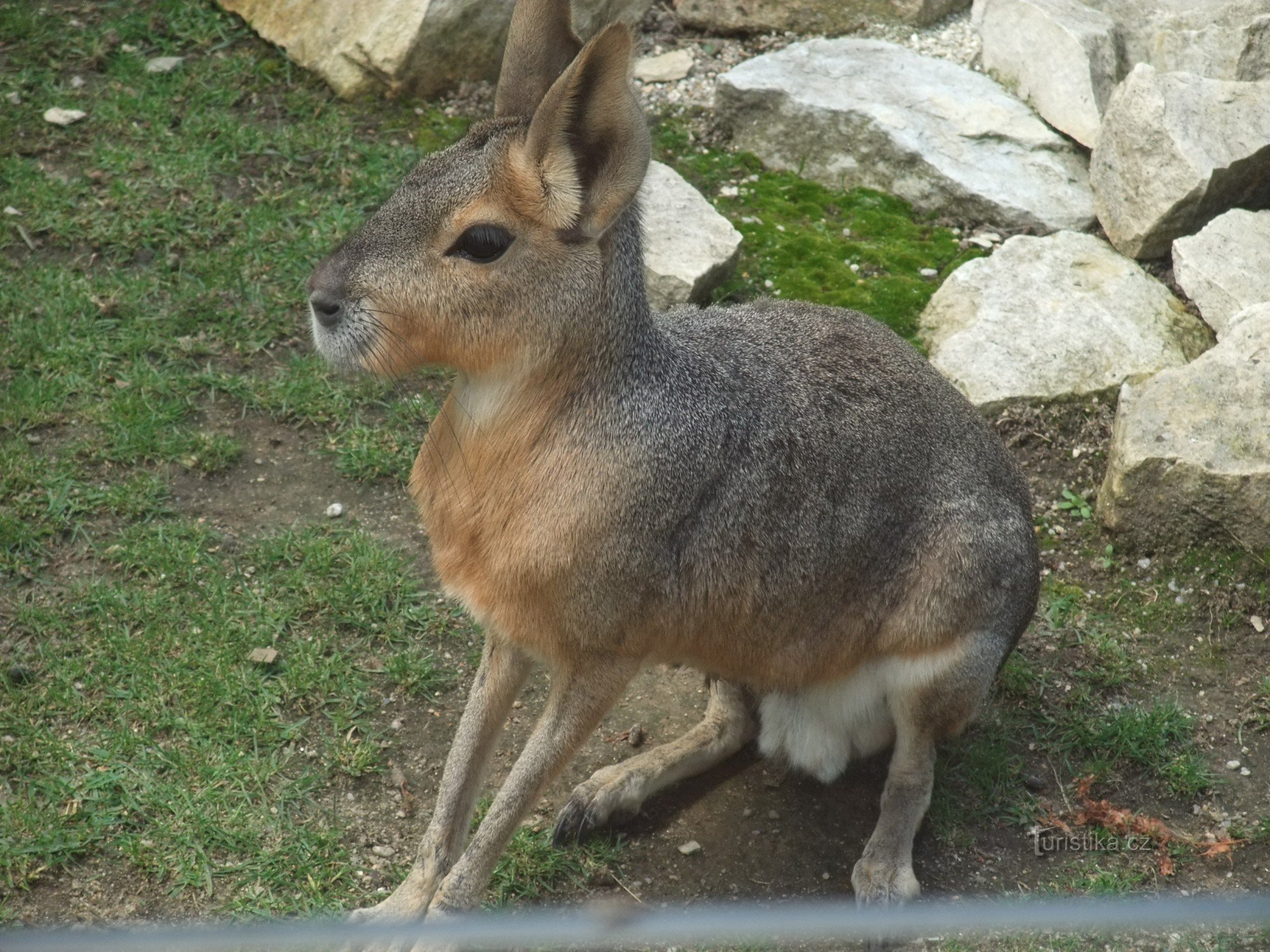 zoološki vrt Horada