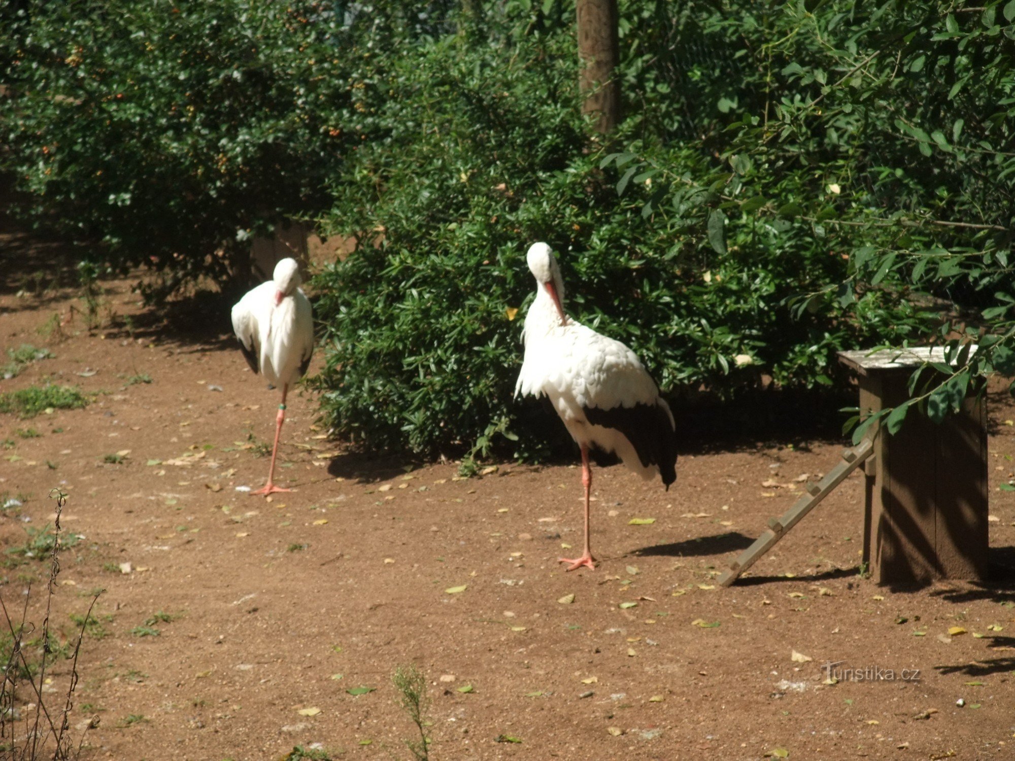 ホラダ動物園