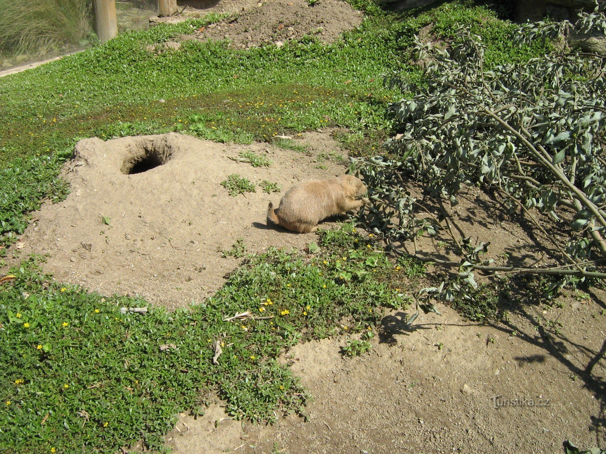 Grădina Zoologică Horada