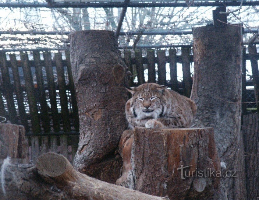 Grădina Zoologică Ohrada, Hluboká nv