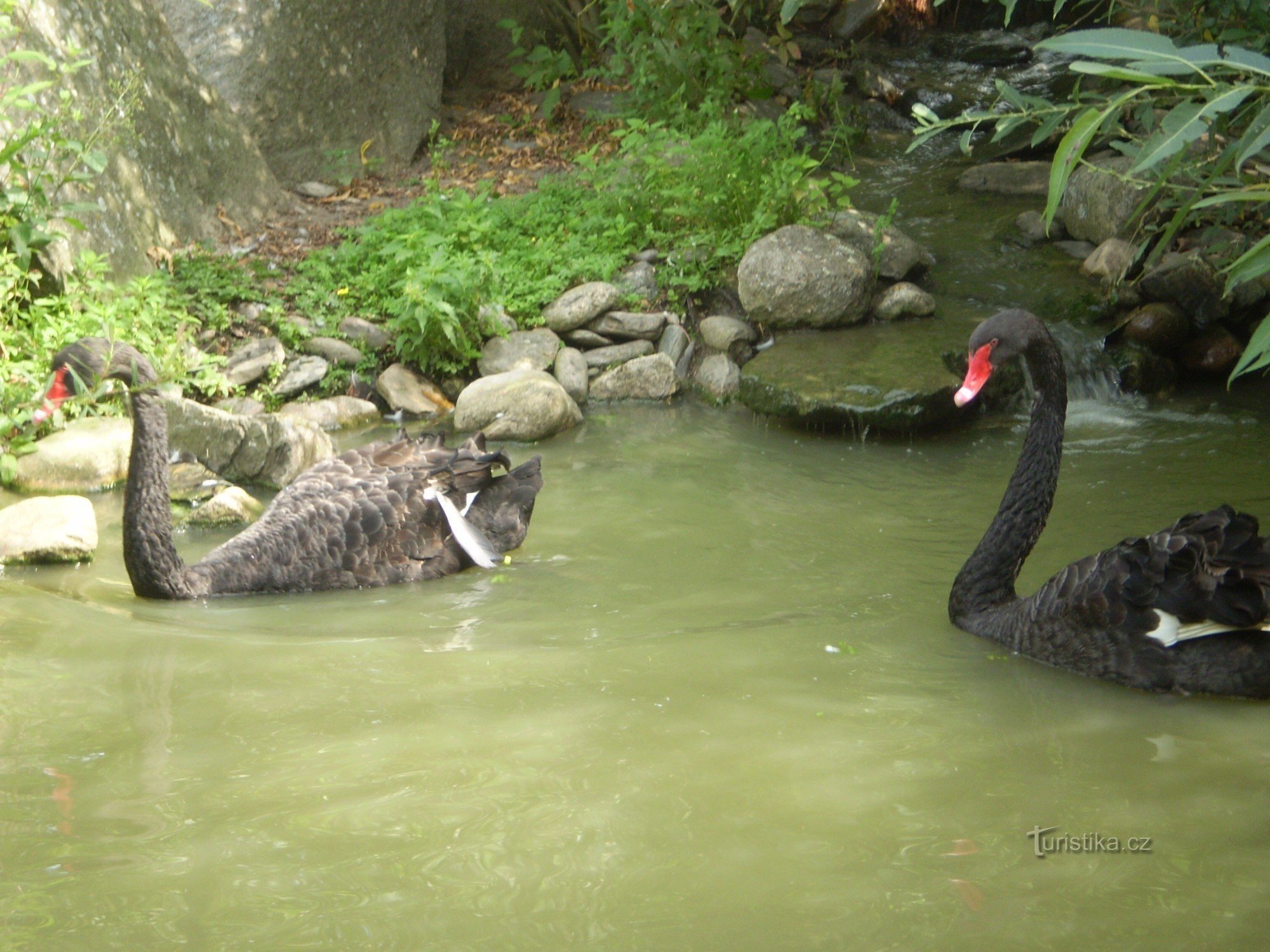 Zoo Ohrada Hluboká nad Vltavou