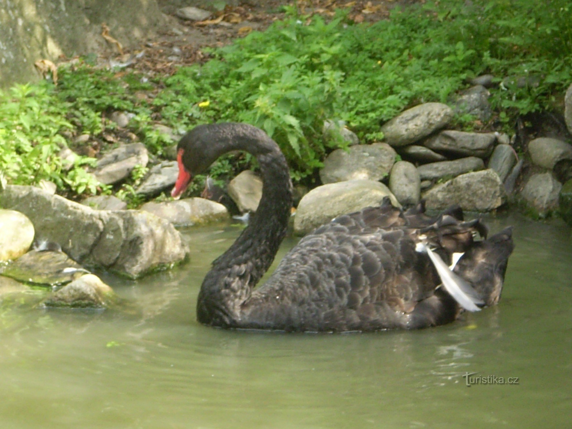 Zoo Ohrada Hluboká nad Vltavou