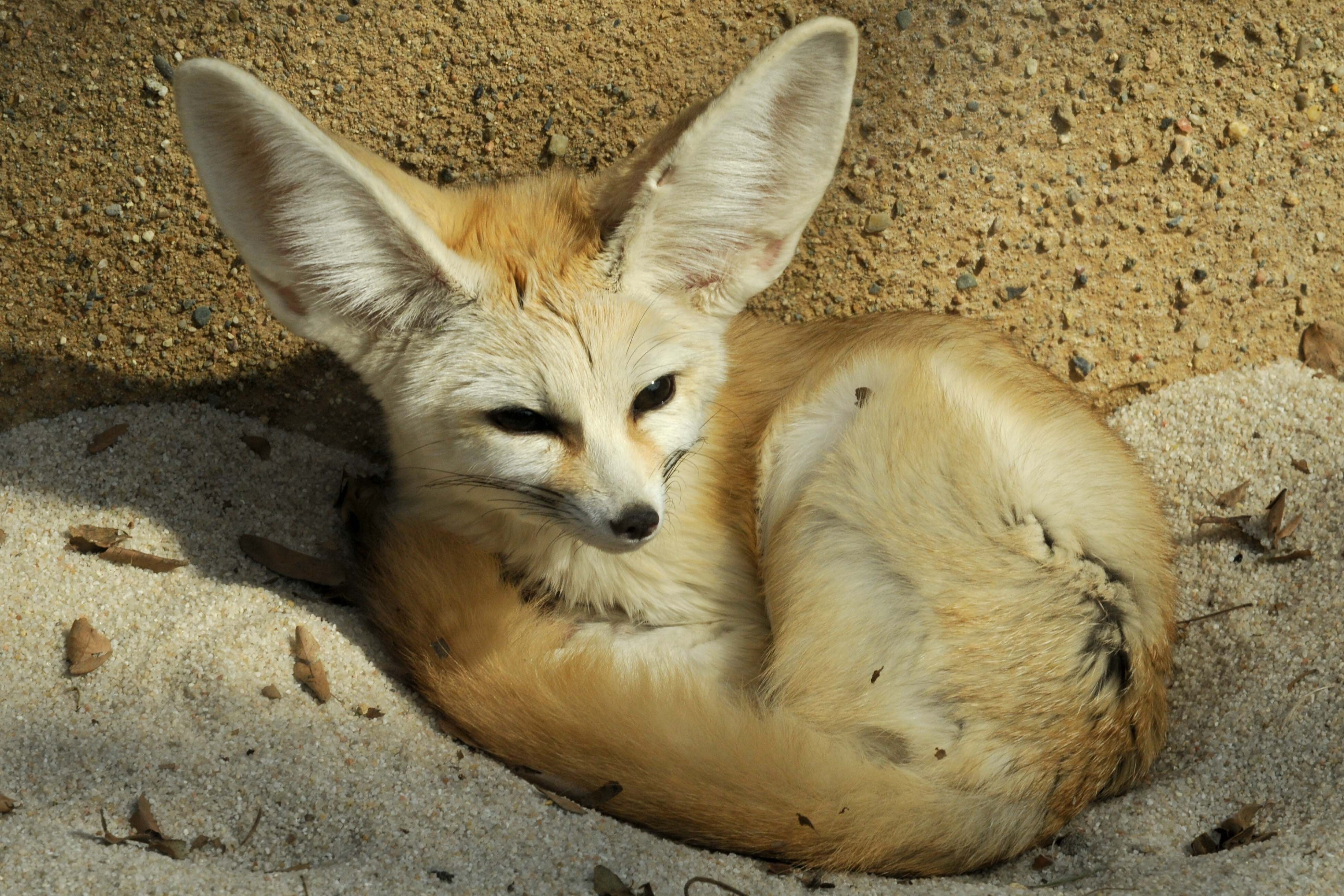 Olomouc Zoo