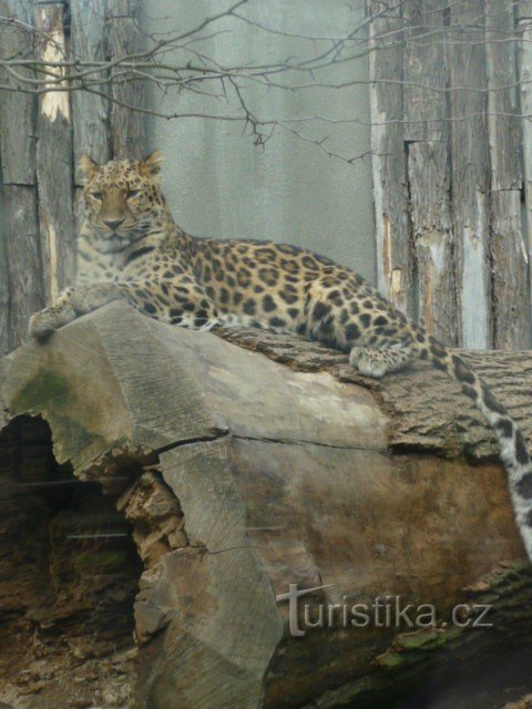 Grădina Zoologică Olomouc