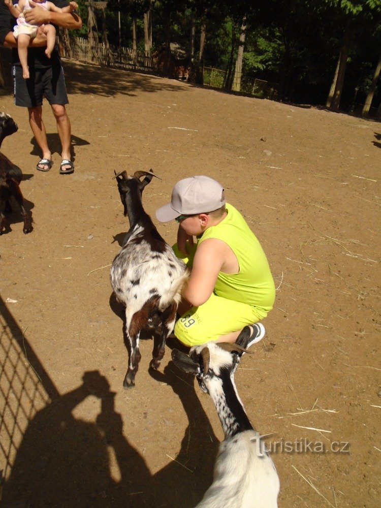 Grădina Zoologică din OLOMOUC