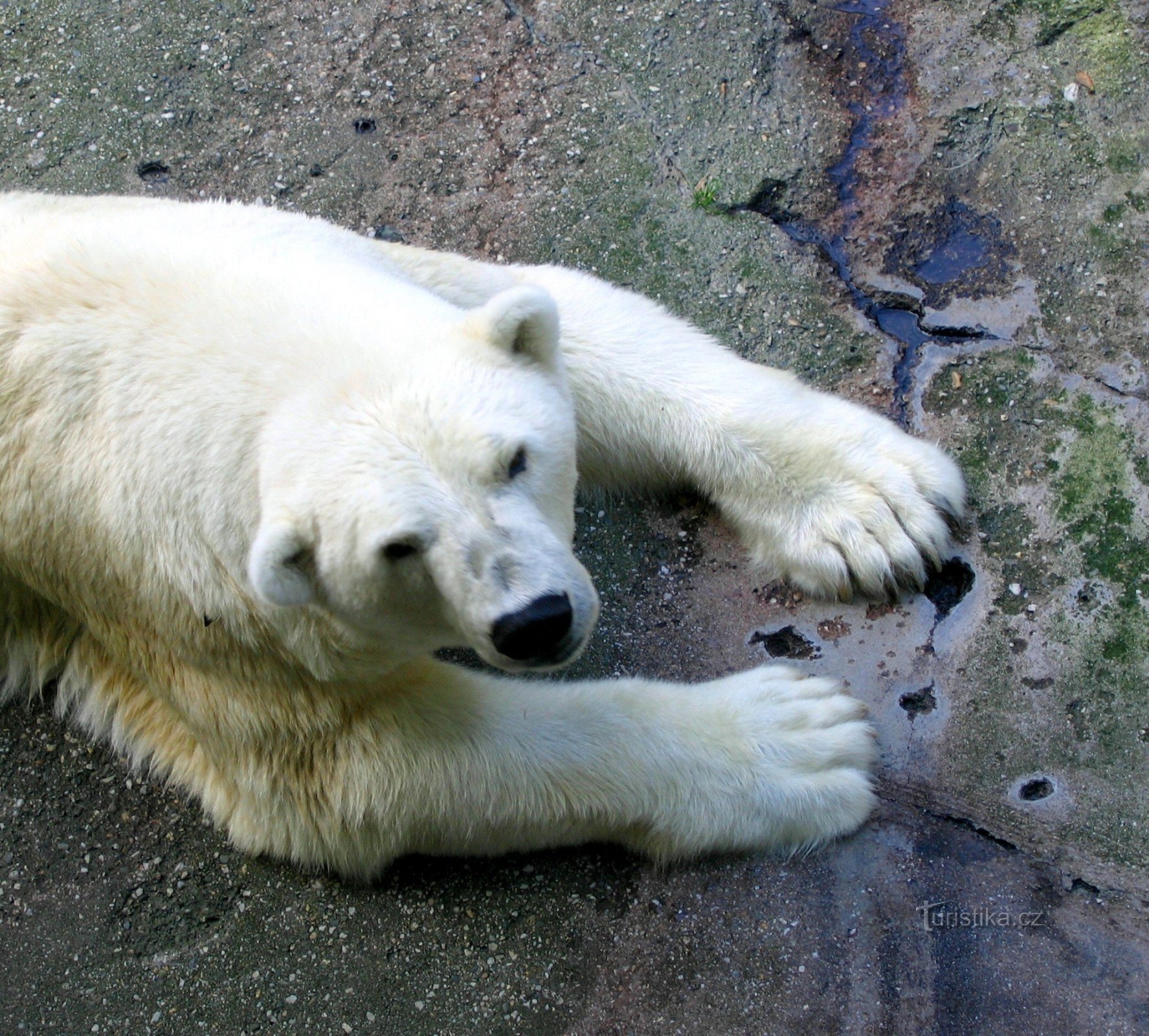 動物園オストラバ