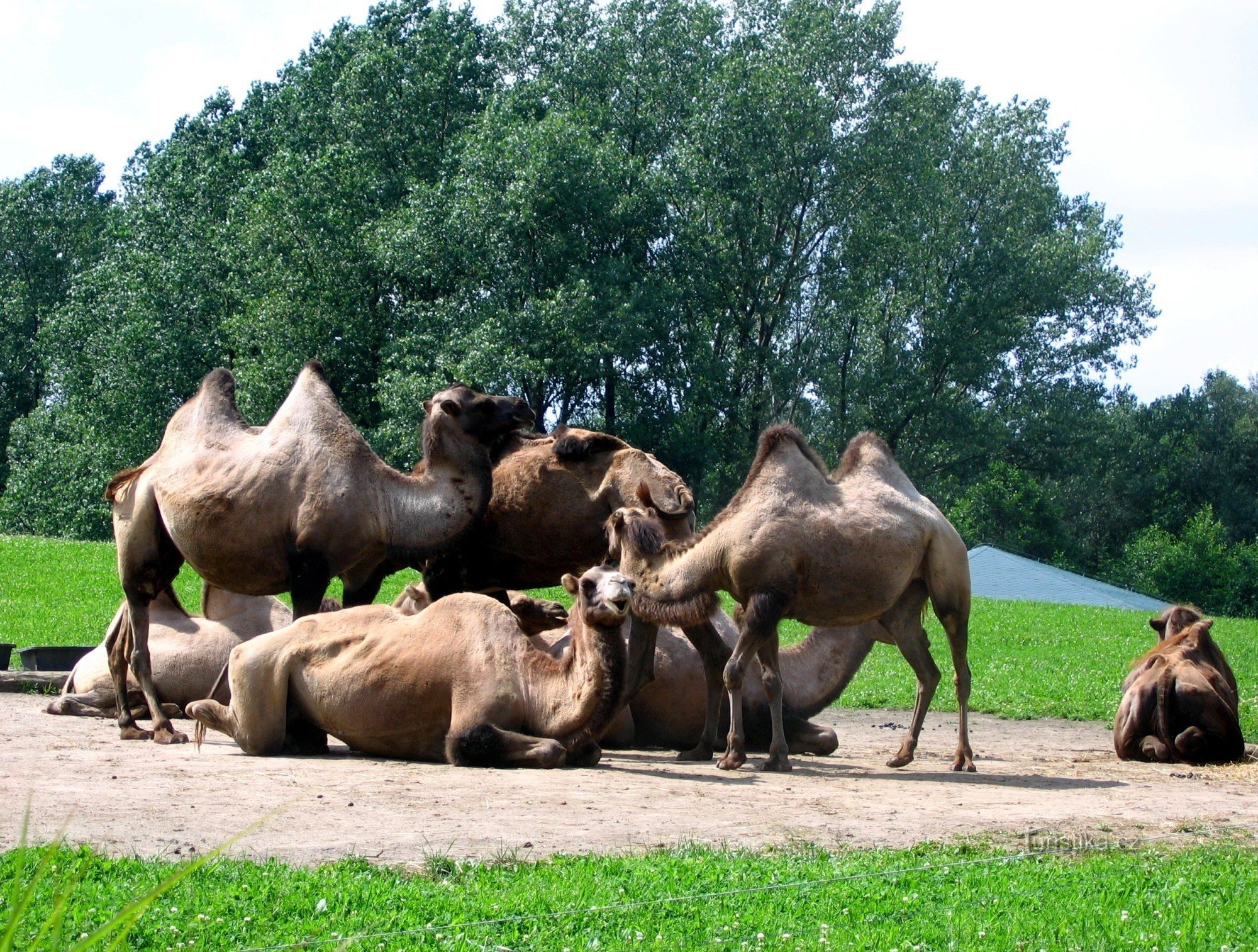 ZOO Ostrava