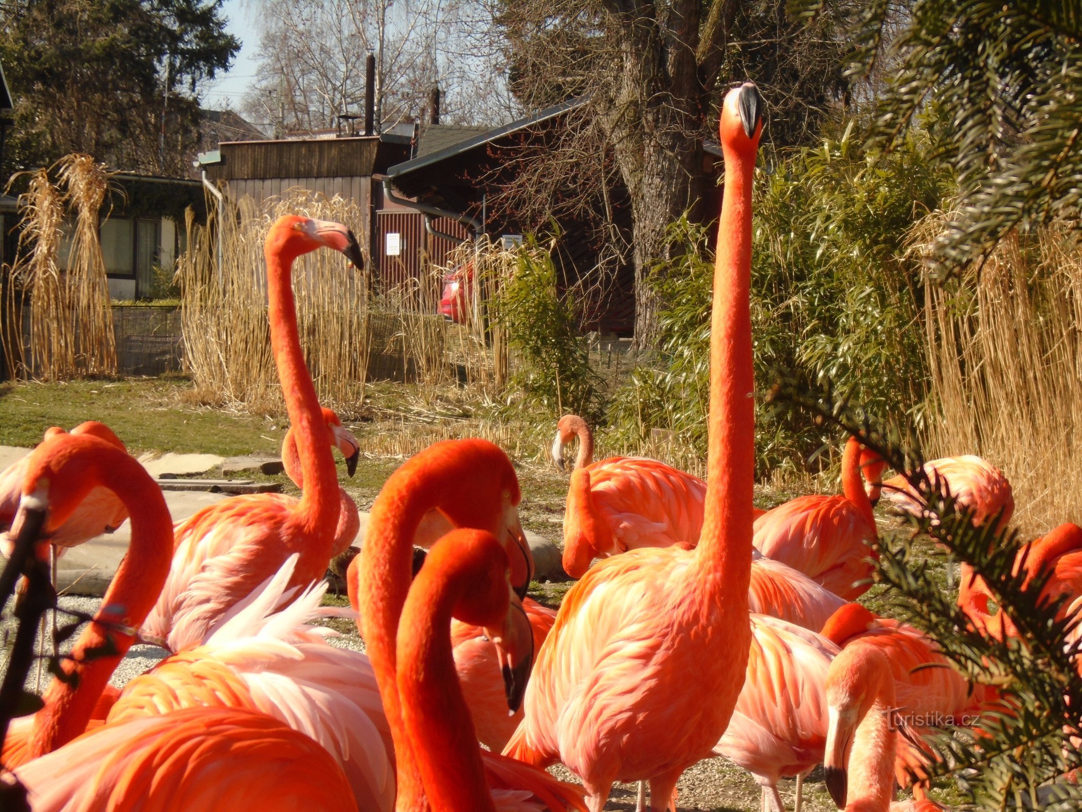 Grădina Zoologică OSTRAVA