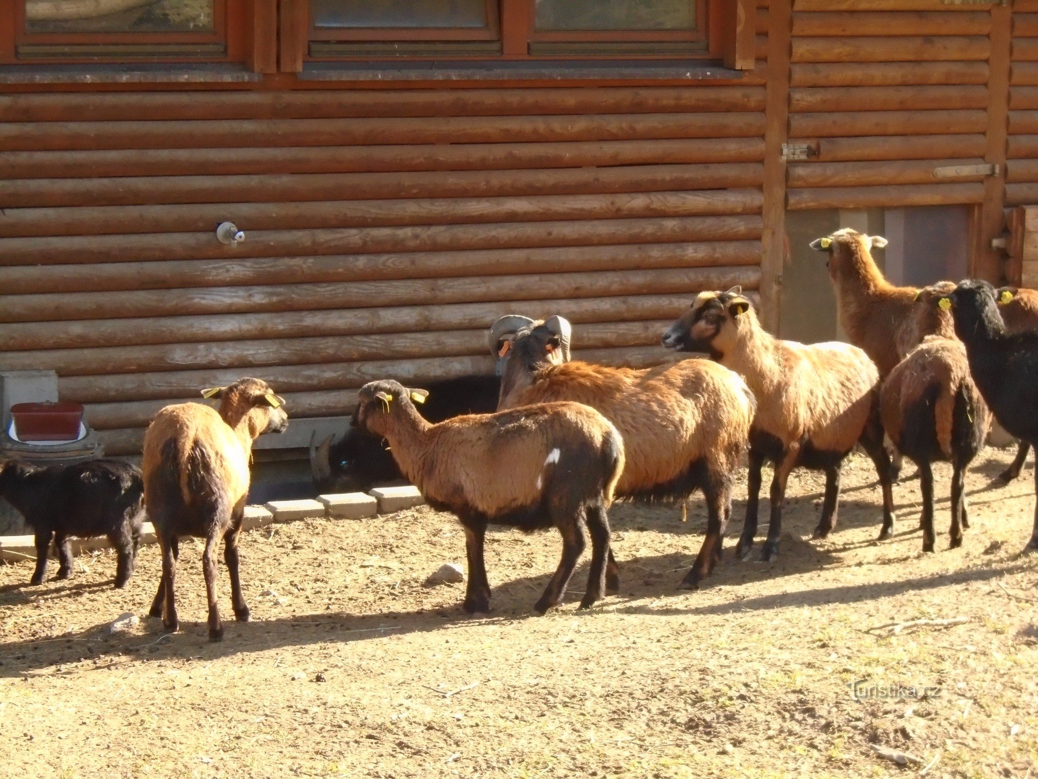 ZOO OSTRAVA