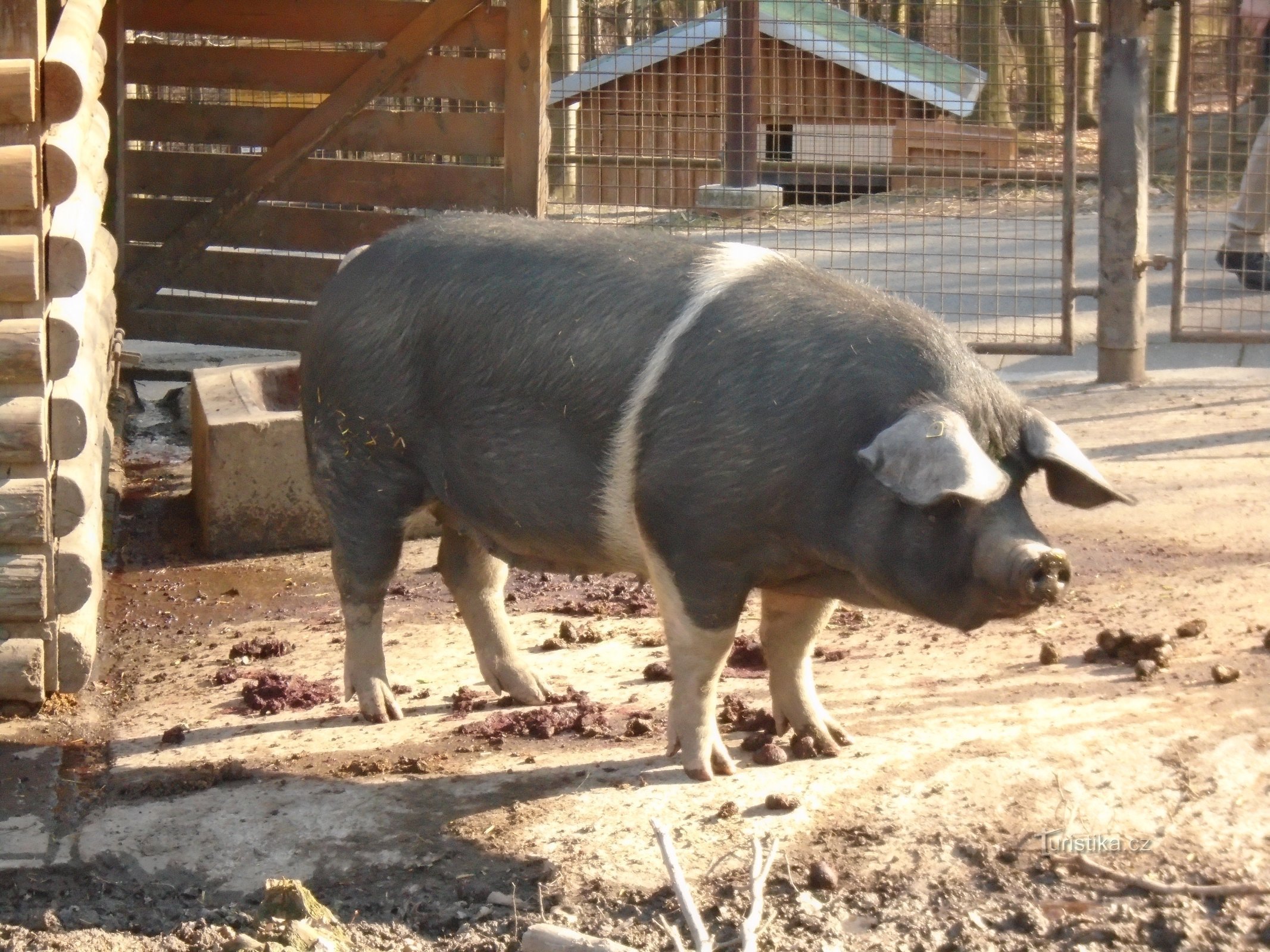 Grădina Zoologică OSTRAVA