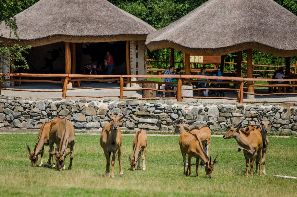 Grădina Zoologică din Ostrava