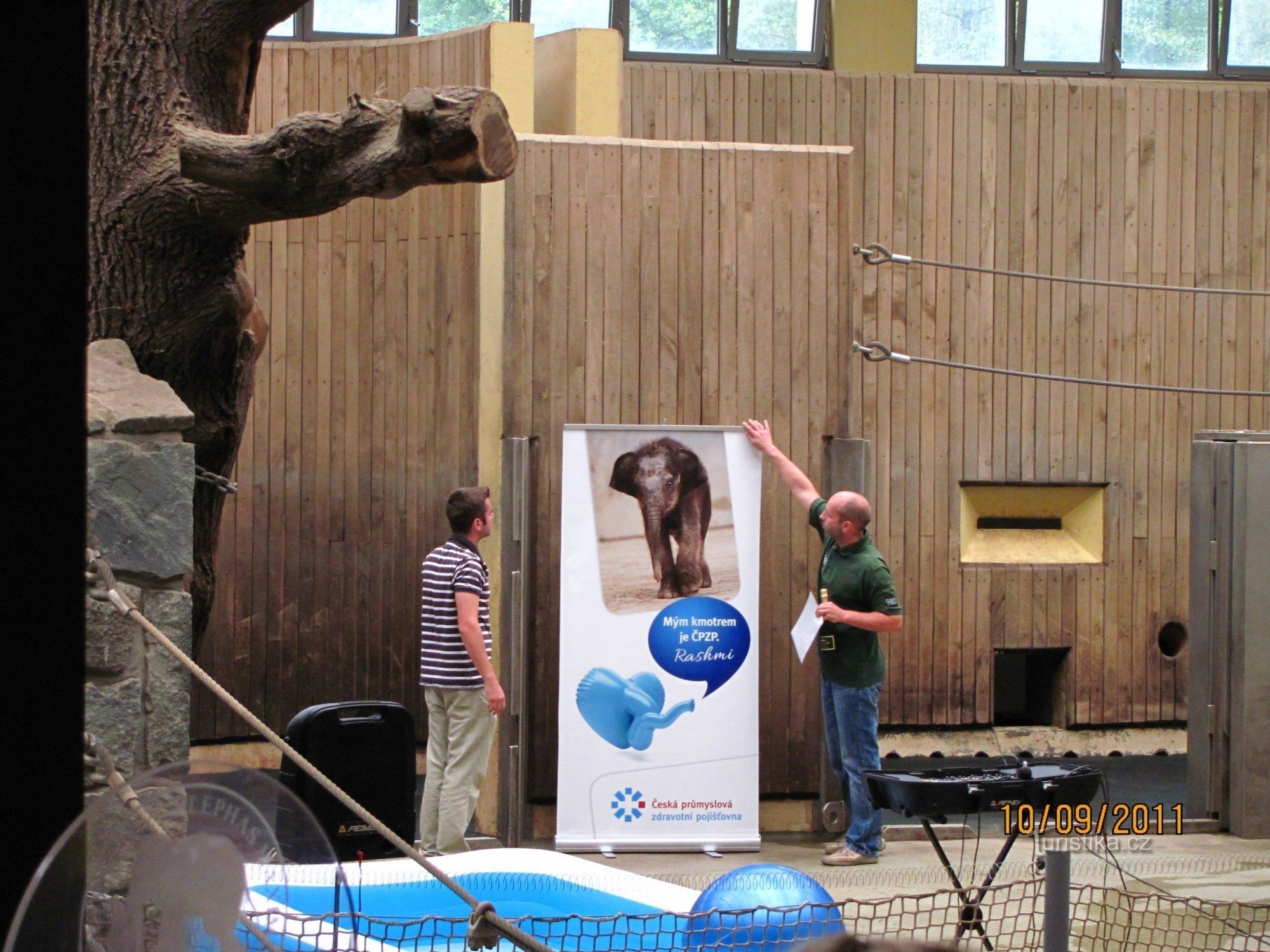 ZOO Ostrava - βάπτιση μωρού ελέφαντα
