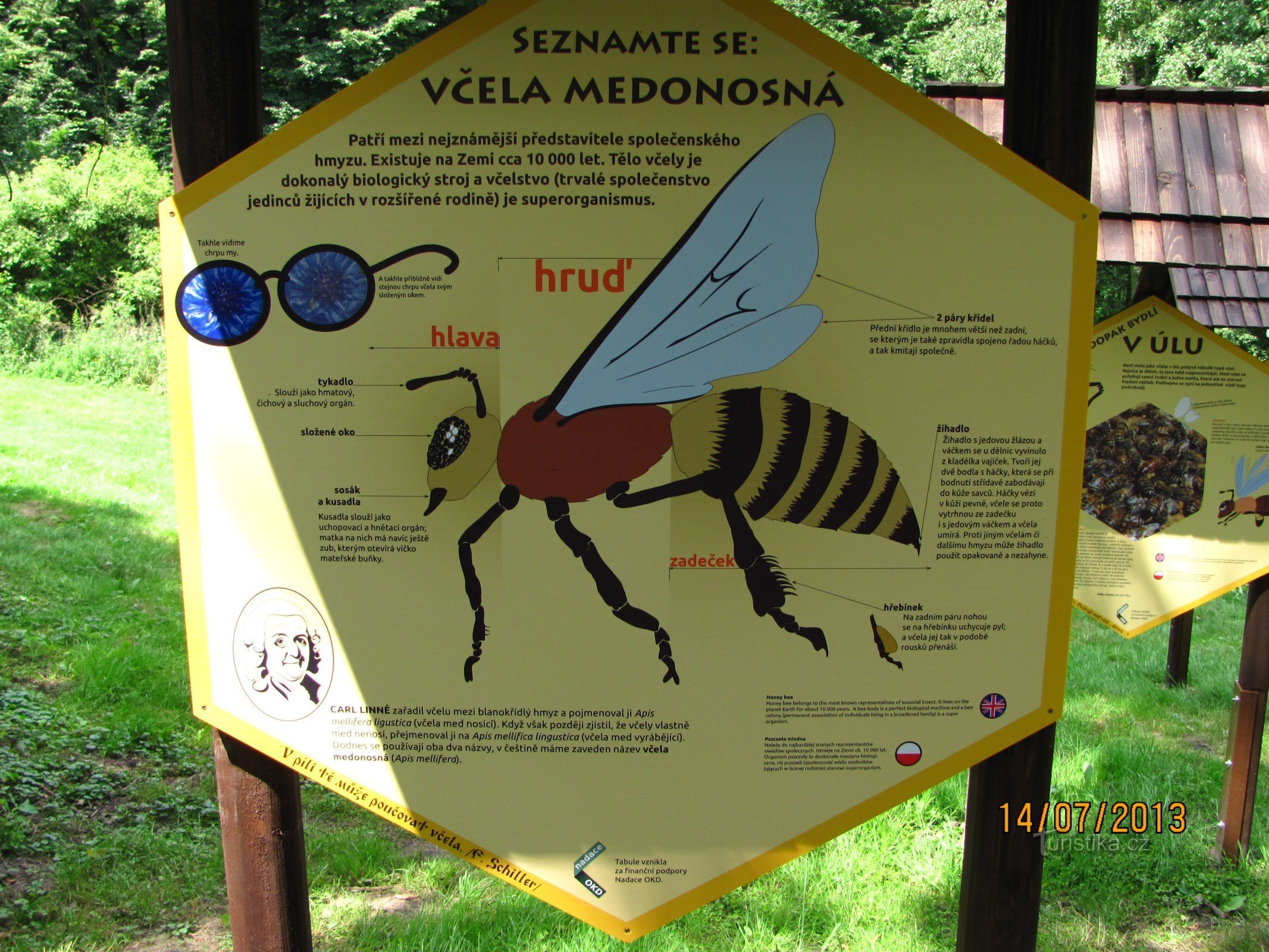 Ostrava állatkert - Méhek nyoma