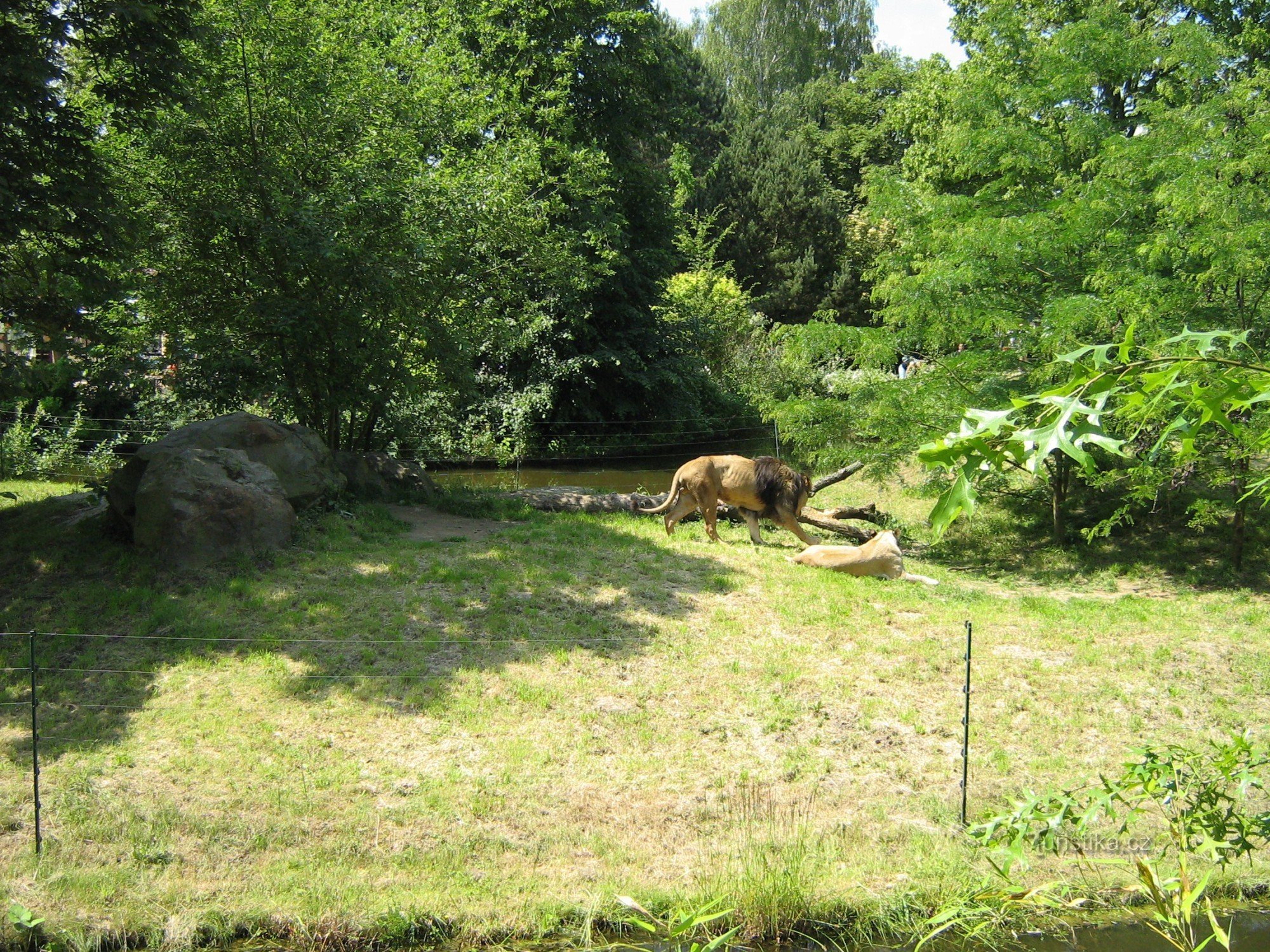 ピルゼン動物園