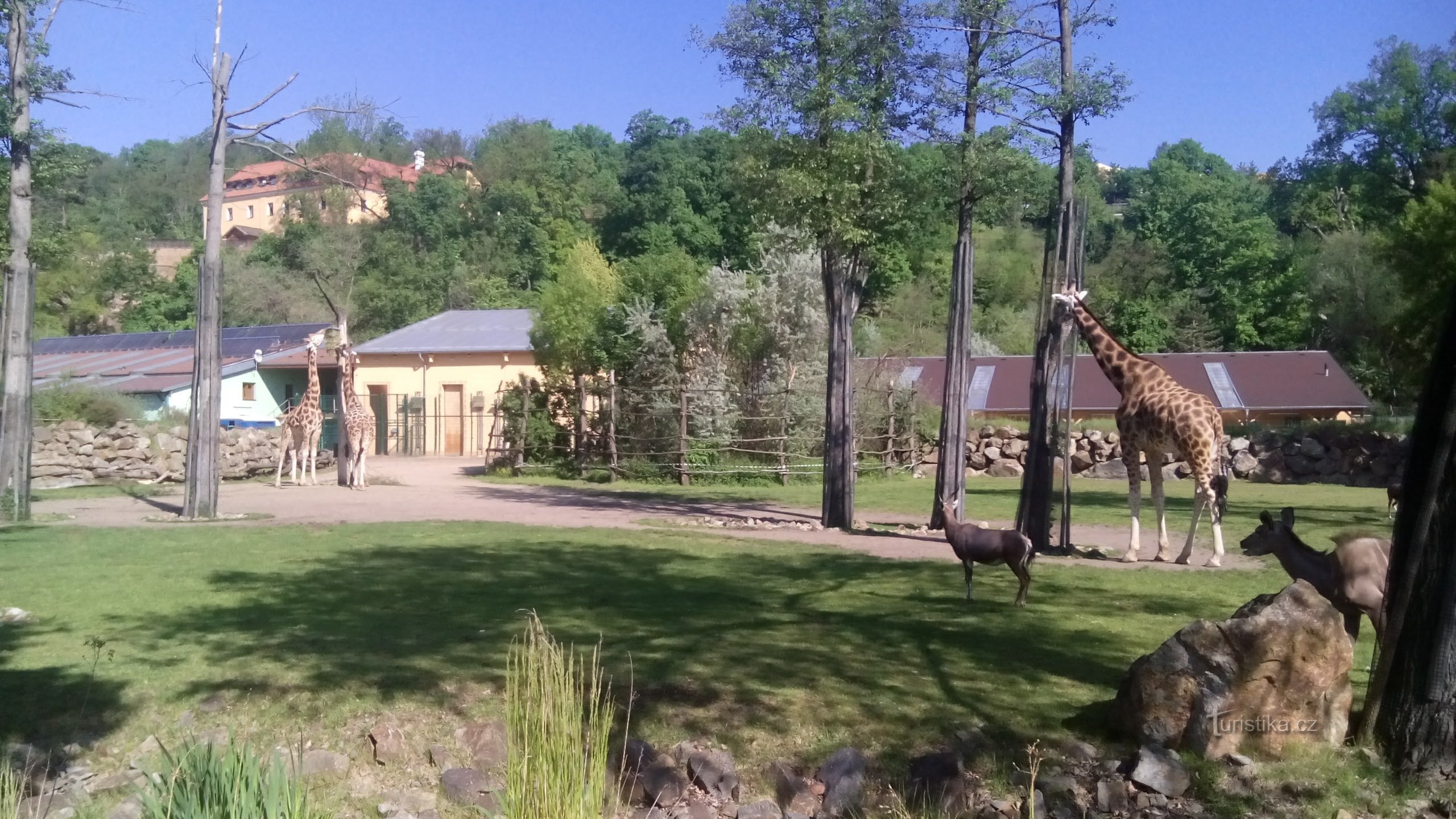 Zoo Plzeň