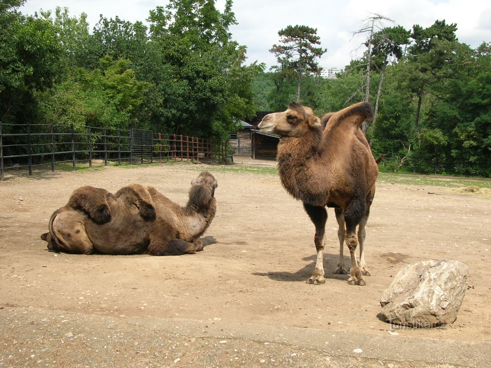 Zoo de Prague